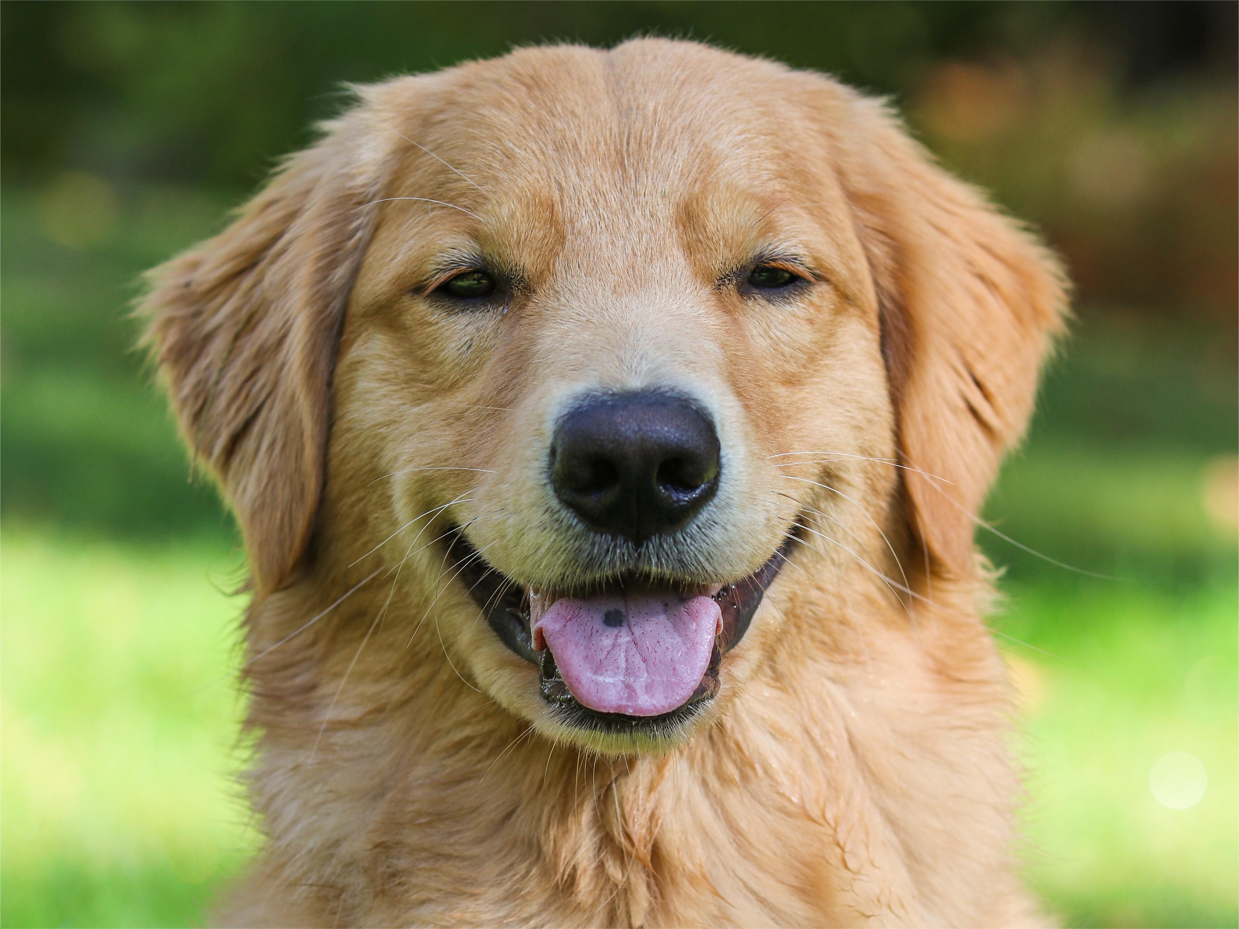 Peddie is the sweetest in the world.